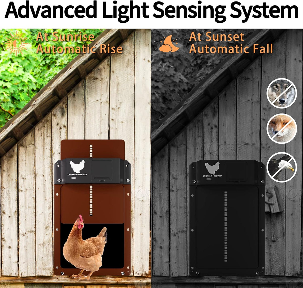 Automatic Chicken Coop Door with Light Sensor