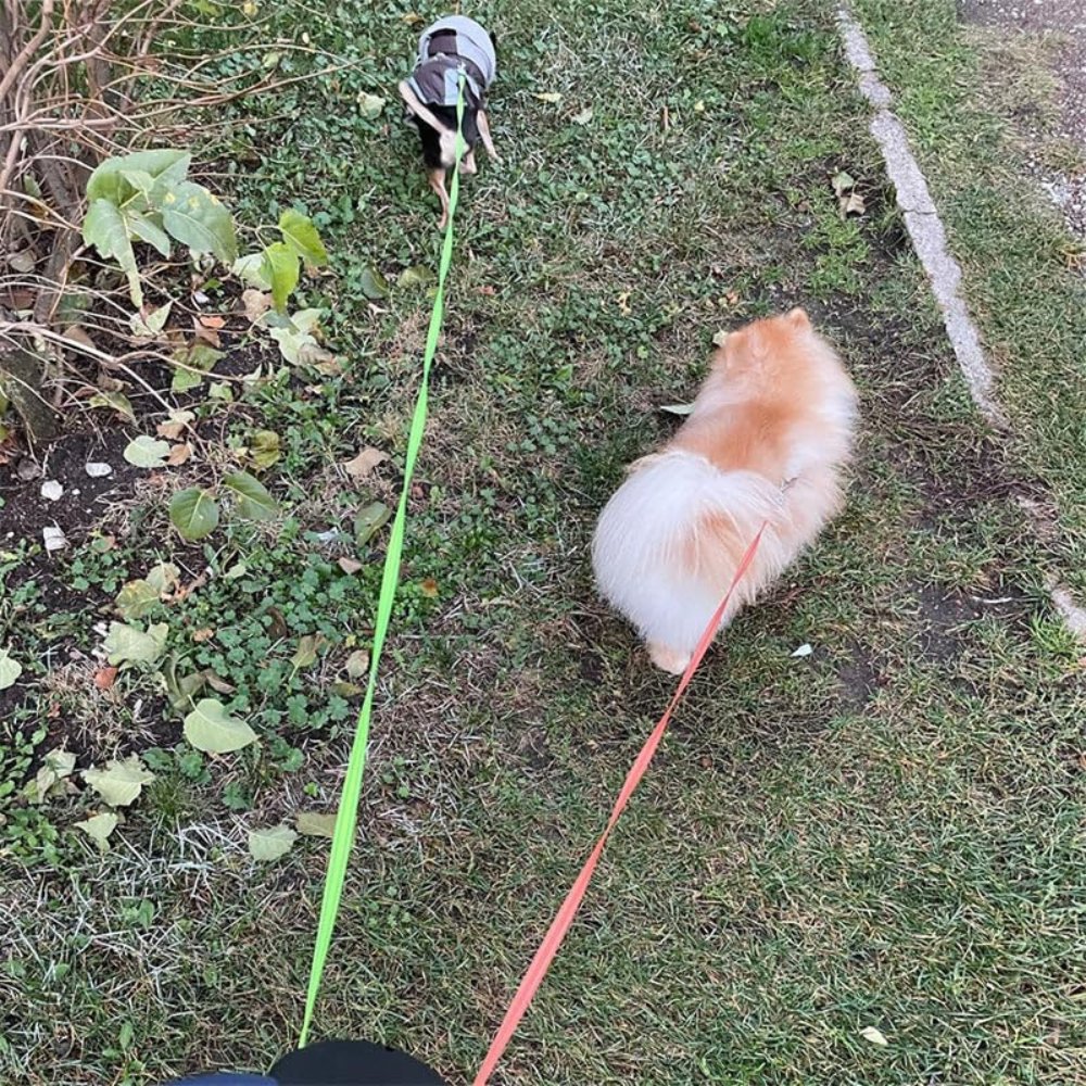 Dual Dog Leash with Tangle Free Swivel Connector