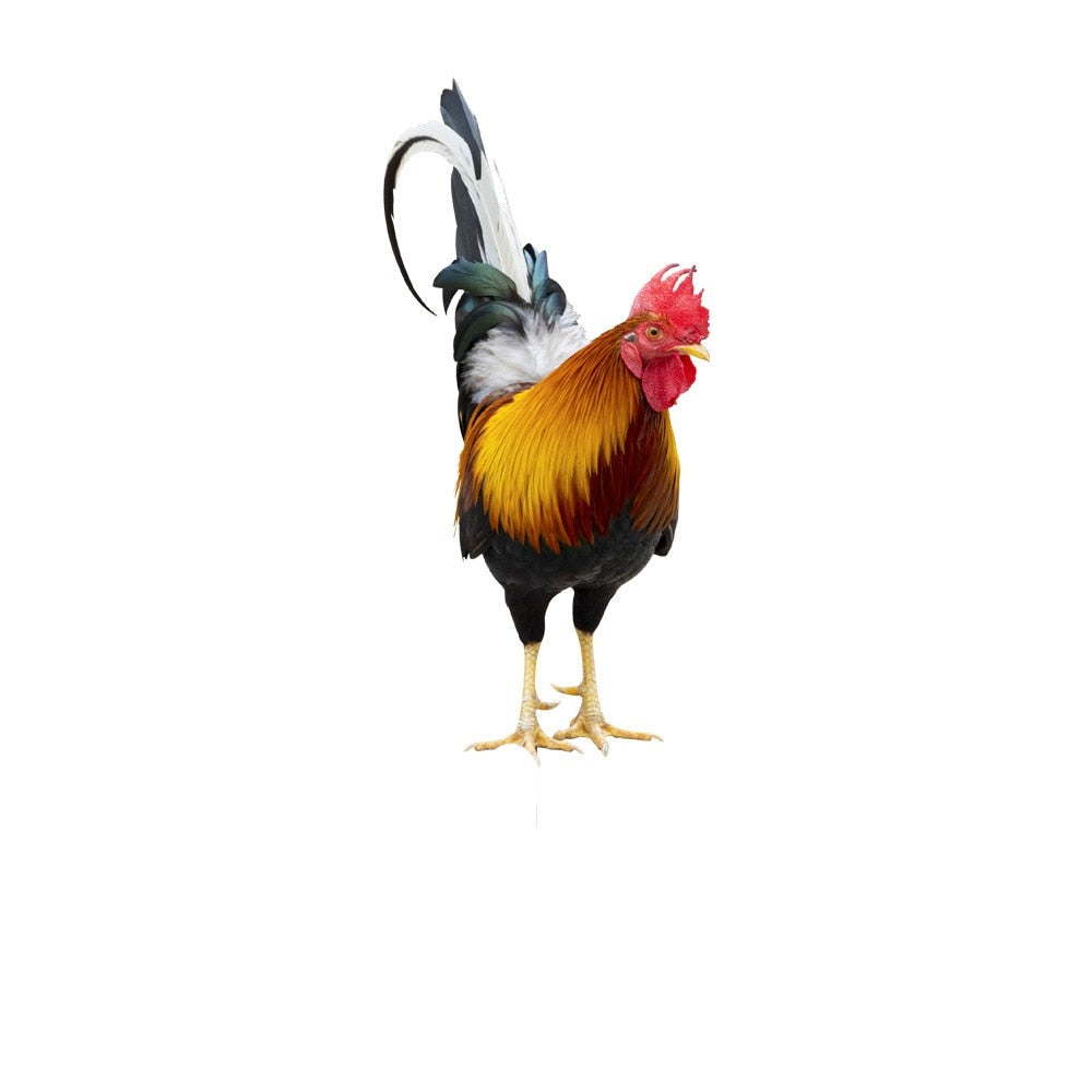 Acrylic Bird Garden Stake Decorative Outdoor Ornament