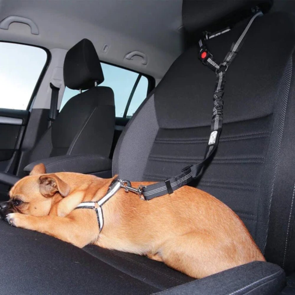 Adjustable Dog Car Seat Belt Nylon Restraint