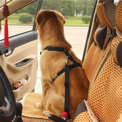 Adjustable Dog Car Seat Belt Tether