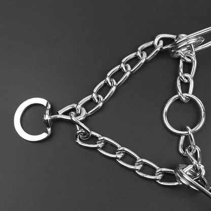 Adjustable Dog Training Collar with Rubber Covered Training Links