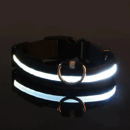Adjustable LED Dog Collar with High Visibility Safety Light