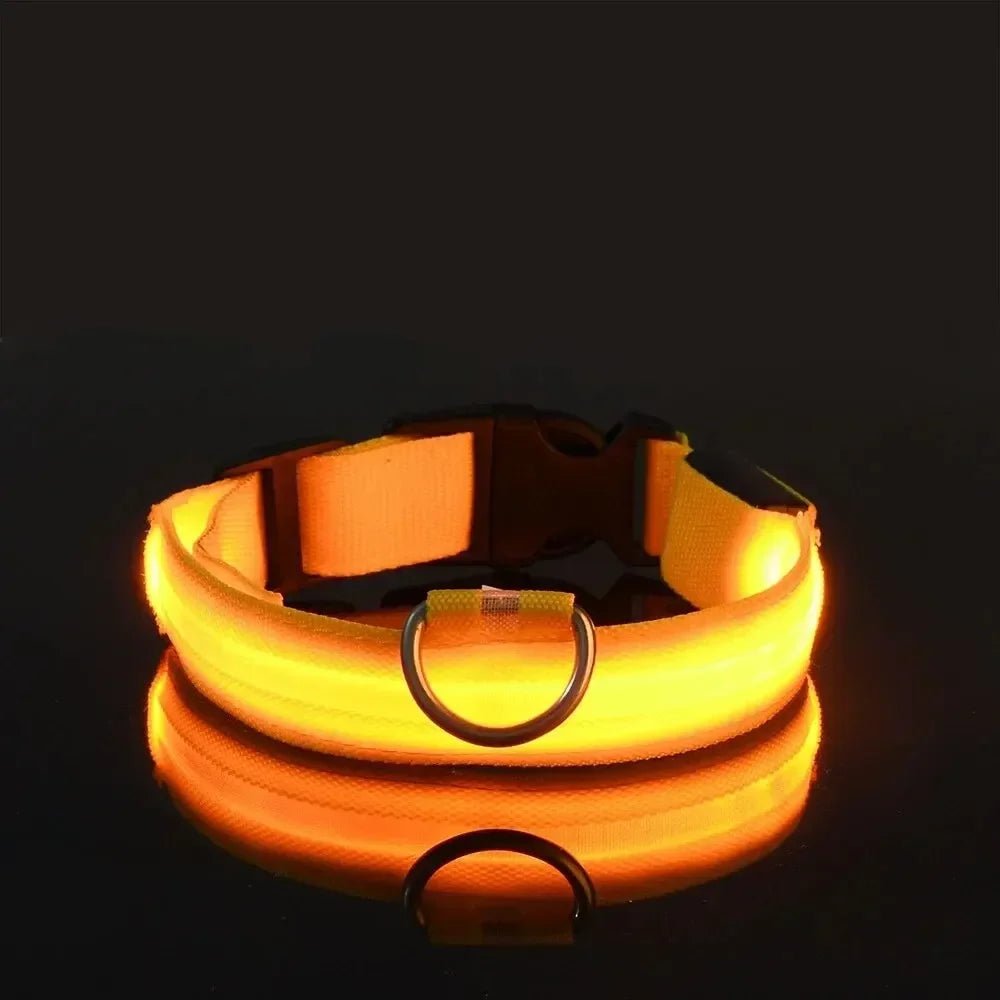 Adjustable LED Dog Collar with High Visibility Safety Light