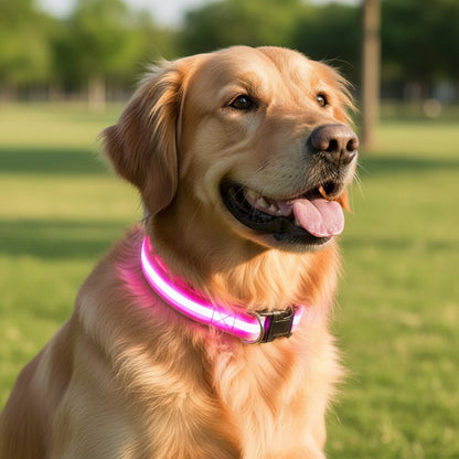 Adjustable LED Dog Collar with High Visibility Safety Light