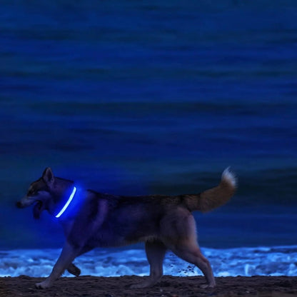 Adjustable LED Dog Collar with High Visibility Safety Light