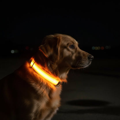 Adjustable LED Dog Collar with High Visibility Safety Light