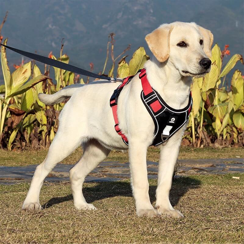 Adjustable No Pull Dog Harness with Reflective Straps
