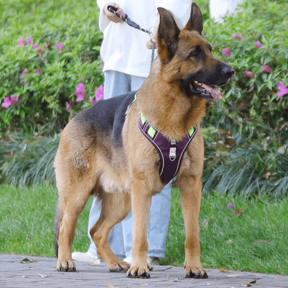 Adjustable No Pull Dog Harness with Reflective Straps