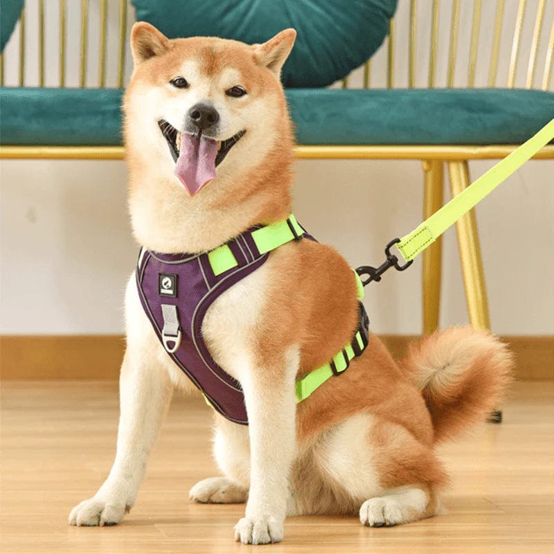 Adjustable No Pull Dog Harness with Reflective Straps