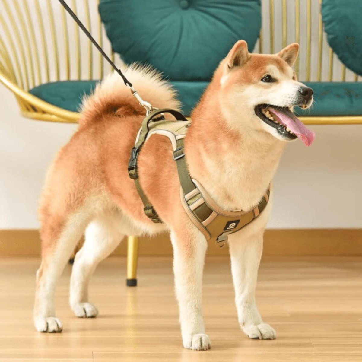 Adjustable No Pull Dog Harness with Reflective Straps