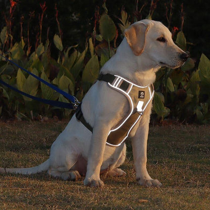 Adjustable No Pull Dog Harness with Reflective Straps
