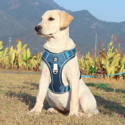 Adjustable No Pull Dog Harness with Reflective Straps