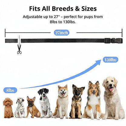 Adjustable Waterproof Dog Training Collar with Remote Control