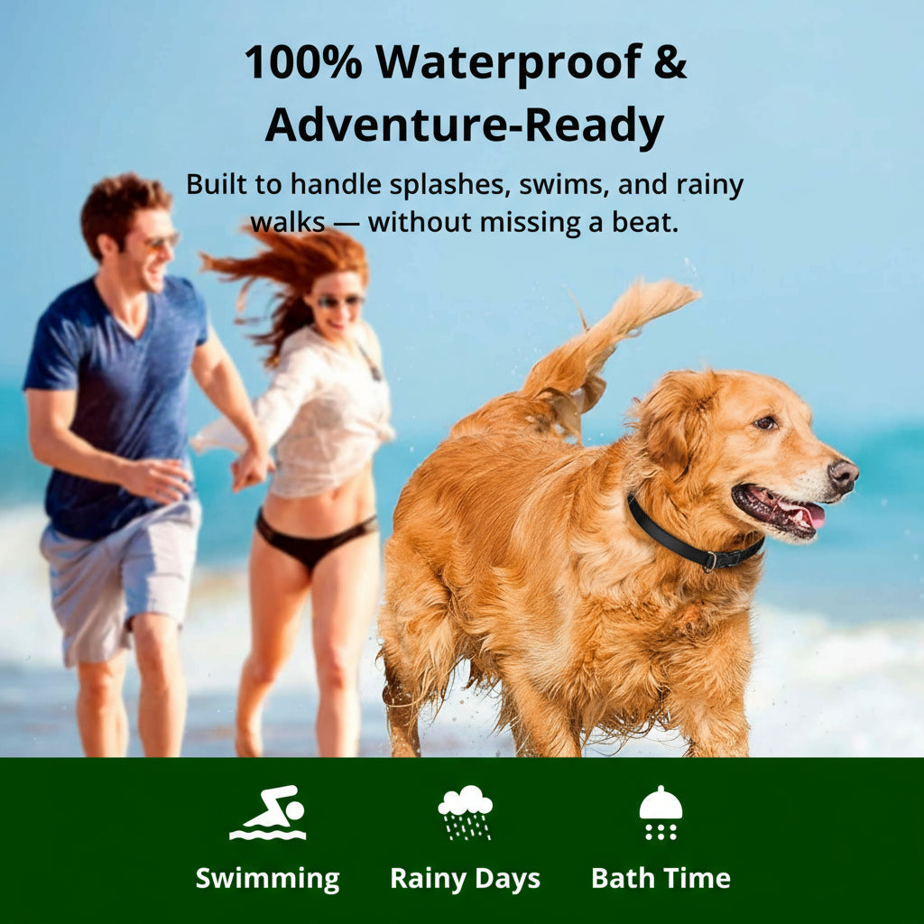Adjustable Waterproof Dog Training Collar with Remote Control