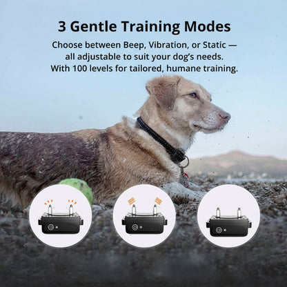 Adjustable Waterproof Dog Training Collar with Remote Control