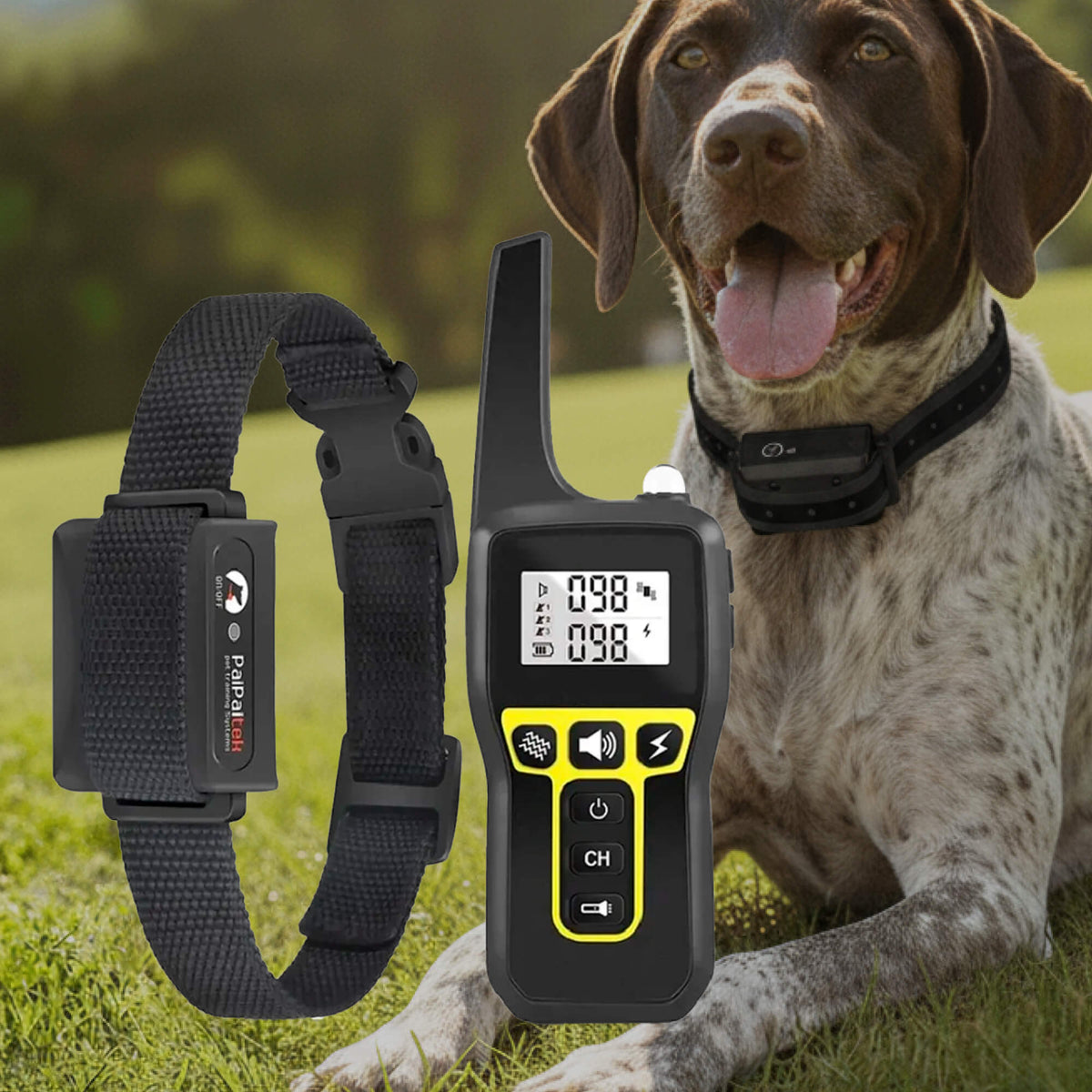 Adjustable Waterproof Dog Training Collar with Remote Control