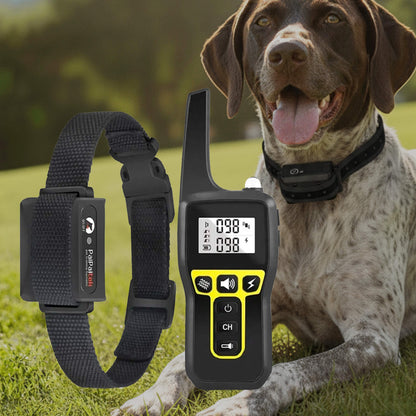 Adjustable Waterproof Dog Training Collar with Remote Control