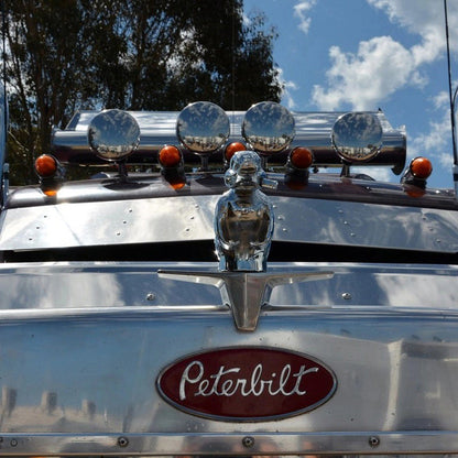 Angry Rubber Duck Car Hood Ornament