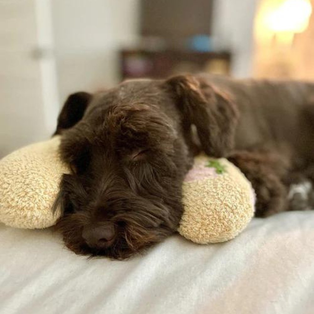 Calming U Shaped Pet Pillow for Dogs and Cats