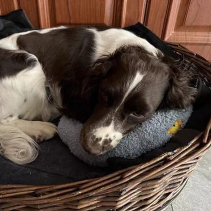 Calming U Shaped Pet Pillow for Dogs and Cats