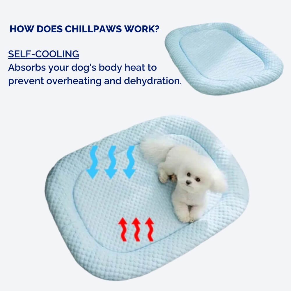 Cooling Pet Bed for Dogs Breathable Washable Sleeping Mat