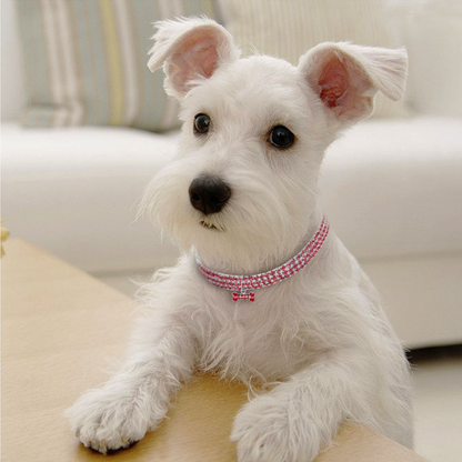 Crystal Charm Dog Collar