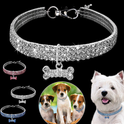 Crystal Charm Dog Collar