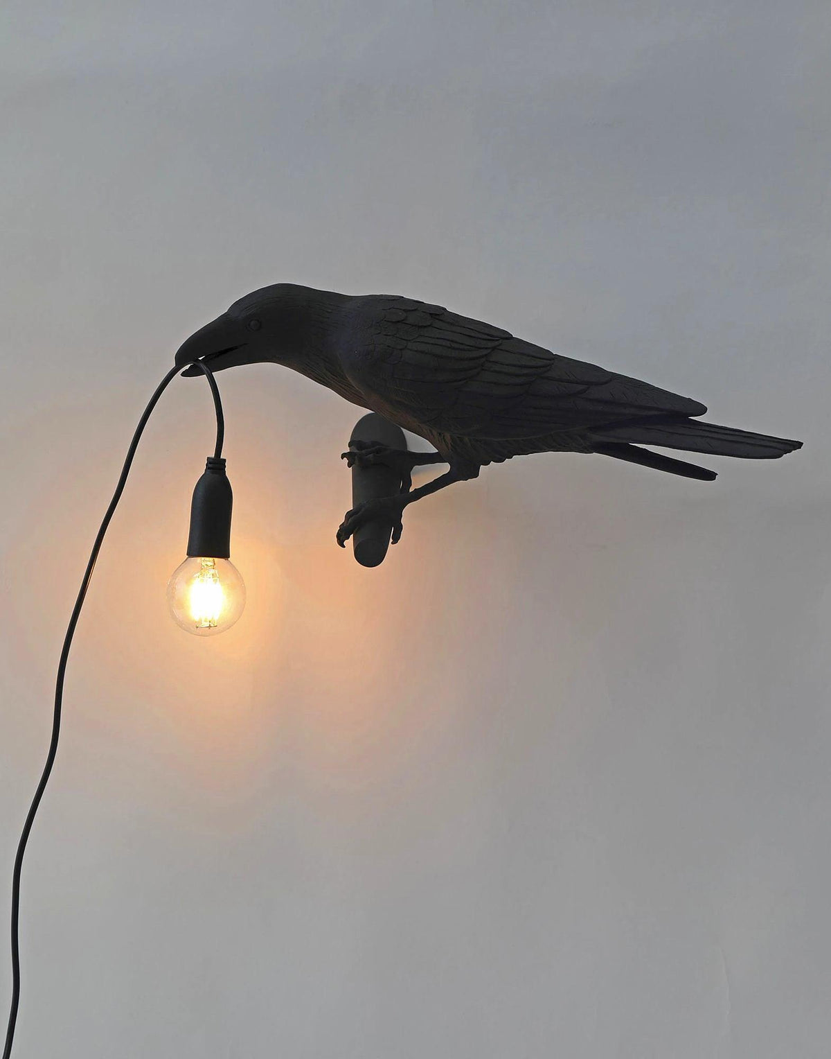 Decorative Bird Wall Light Resin LED Wall Sconce