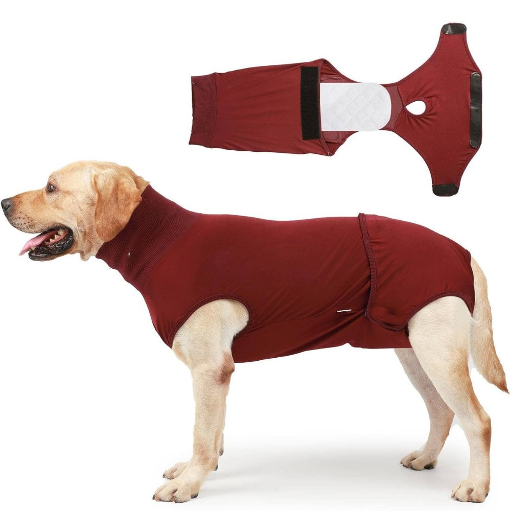 Dog Recovery Suit for Post Surgery Comfort and Protection