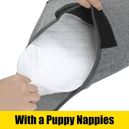 Dog Recovery Suit for Post Surgery Comfort and Protection
