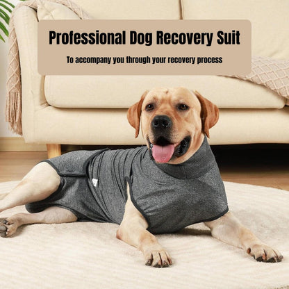Dog Recovery Suit for Post Surgery Comfort and Protection