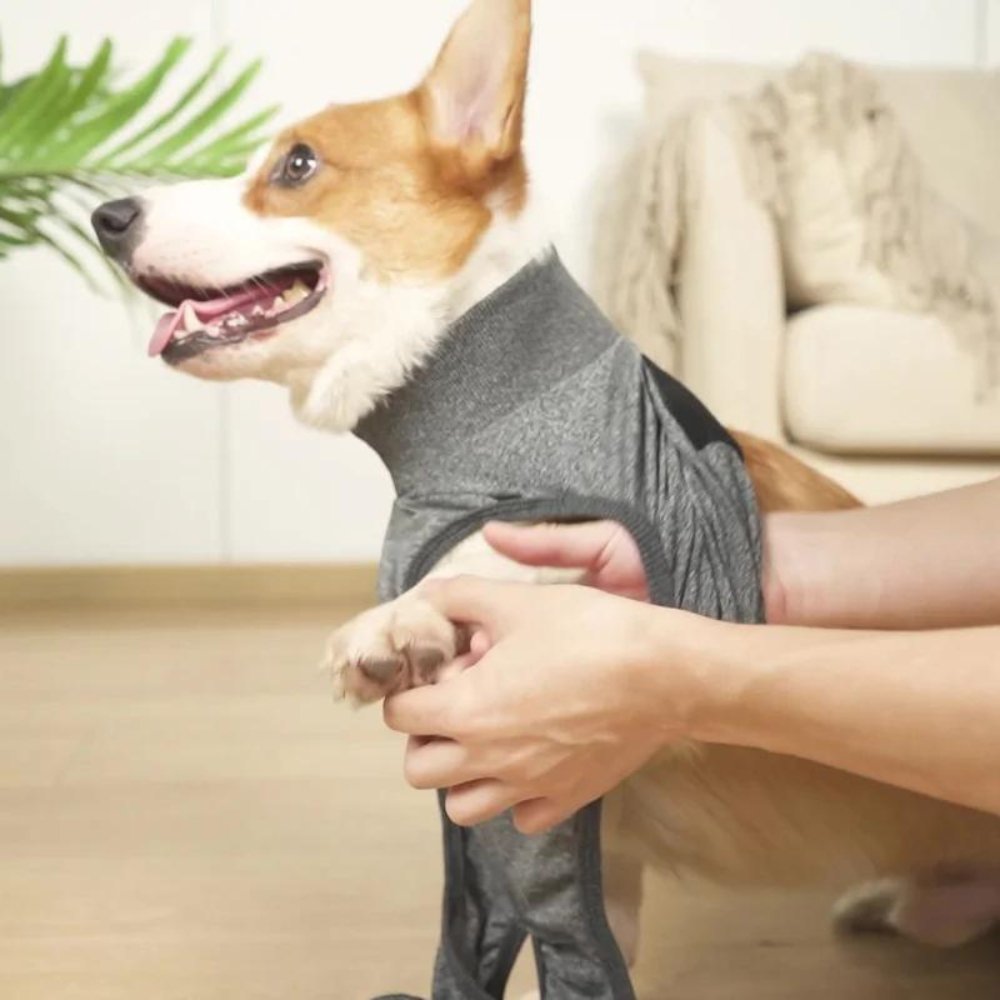 Dog Recovery Suit for Post Surgery Comfort and Protection