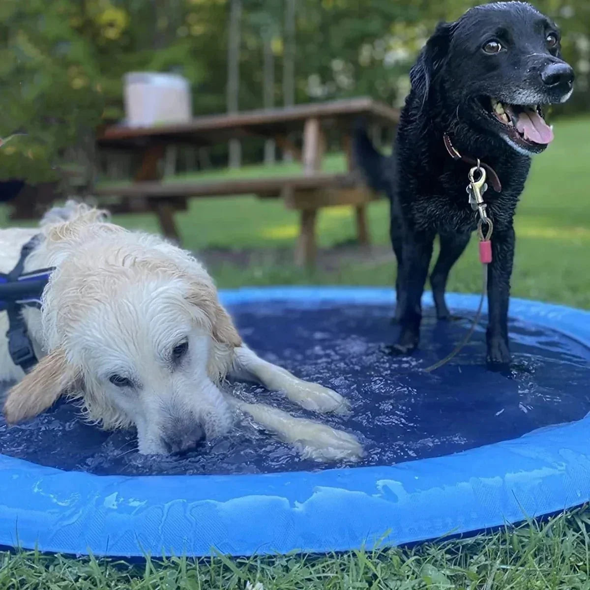 Dog Splash Pad Sprinkler Pool for Outdoor Water Play