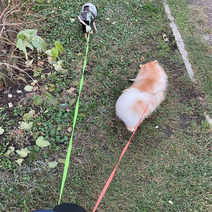 Dual Dog Leash with Tangle Free Swivel Connector