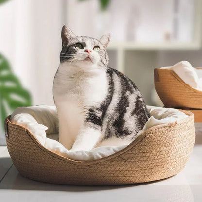 Eco Friendly Cat Sofa with Breathable Cotton Cushion