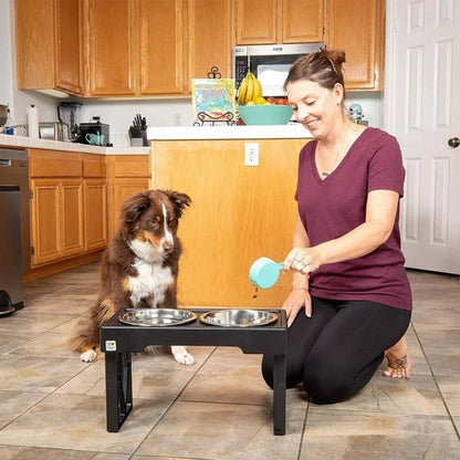 Elevated Slow Feed Dog Bowl