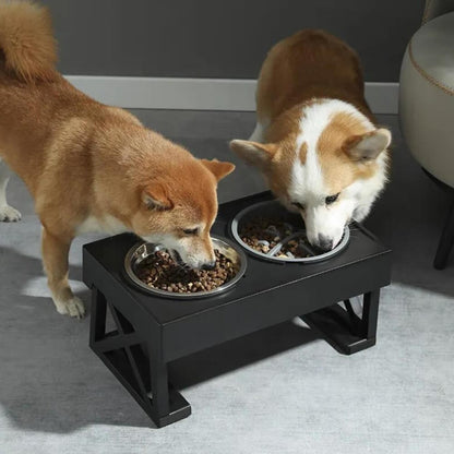 Elevated Slow Feed Dog Bowl