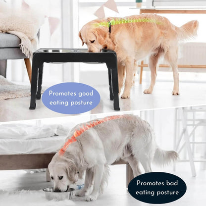 Elevated Slow Feed Dog Bowl