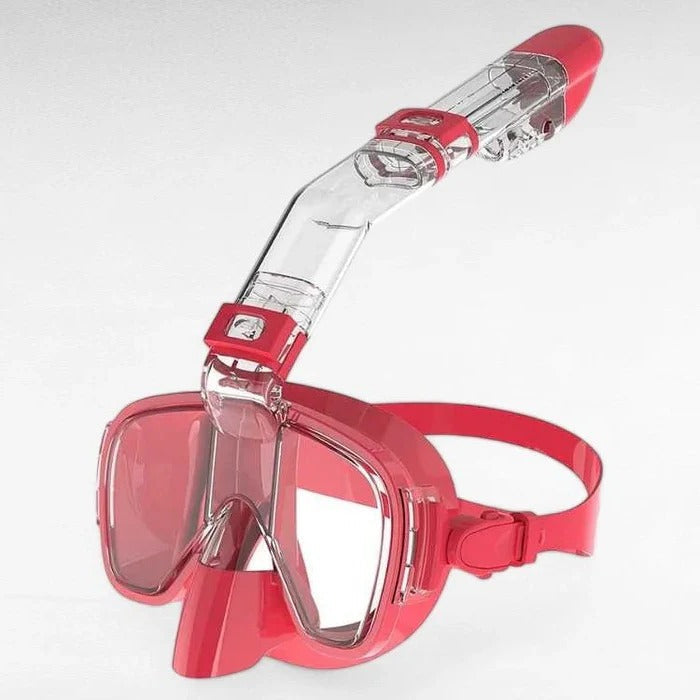 Full Face Snorkeling Mask with Dry Top and Panoramic View
