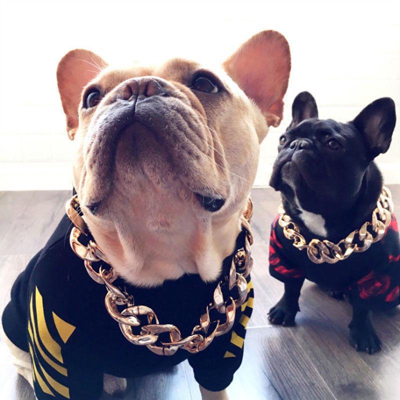 Gold Chain Collar for Stylish Pets