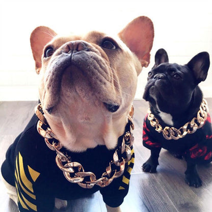 Gold Chain Collar for Stylish Pets