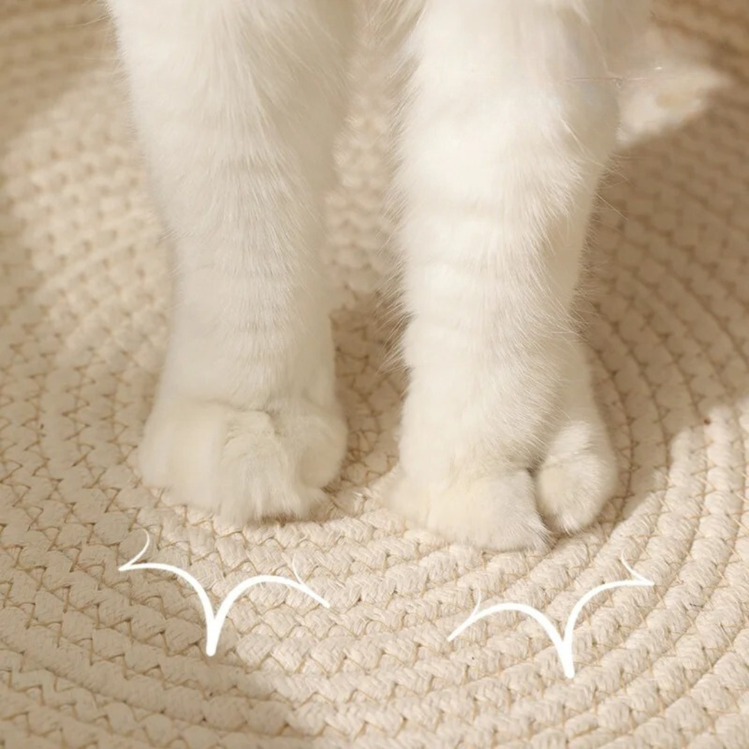 Handwoven Cotton Rope Cat Bed with Raised Sides