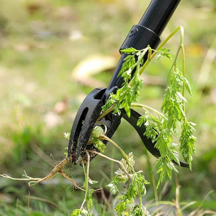Heavy Duty Weed Puller Tool with Steel Root Grabbing Tip