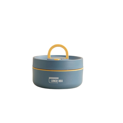 Insulated Stainless Steel Lunch Box with Carry Bag