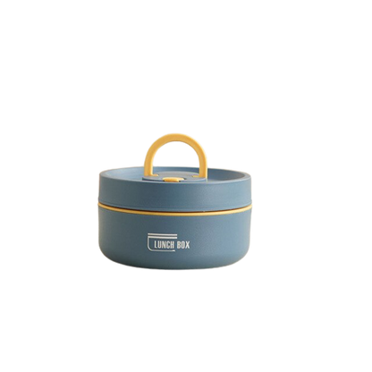Insulated Stainless Steel Lunch Box with Carry Bag