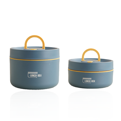 Insulated Stainless Steel Lunch Box with Carry Bag