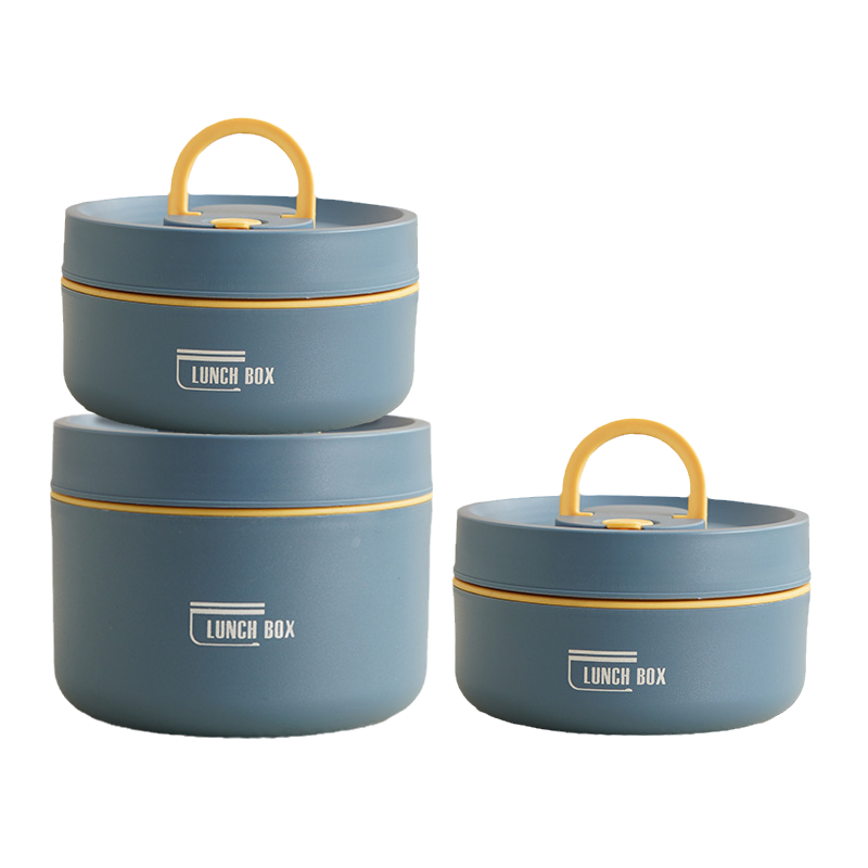 Insulated Stainless Steel Lunch Box with Carry Bag