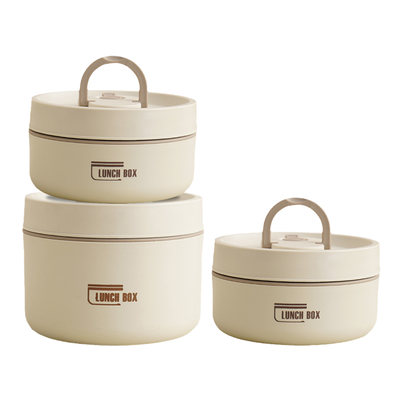 Insulated Stainless Steel Lunch Box with Carry Bag