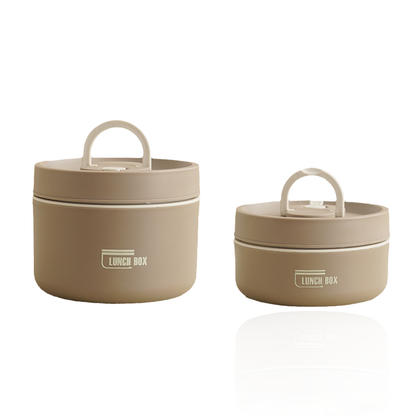 Insulated Stainless Steel Lunch Box with Carry Bag